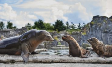 Die 10 schönsten Tierparks/ Zoos in NRW